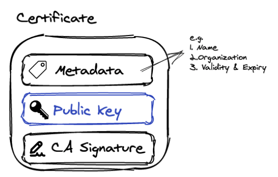 certificate_vs_public_key.png